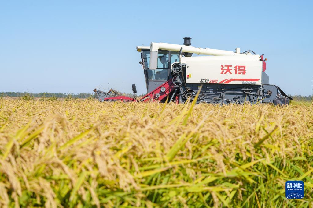 永利皇宫注册